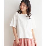 オフホワイト | コットンUSA半袖Tシャツ | ikka 