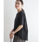 コットンUSA半袖Tシャツ | ikka | 詳細画像2