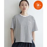 ホワイト | コットンUSA半袖Tシャツ | ikka