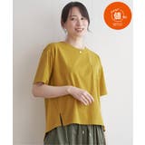 マスタード | コットンUSA半袖Tシャツ | ikka