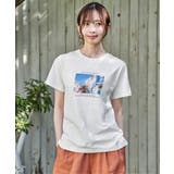 冷感ロゴフォトプリントTシャツ | ikka  | 詳細画像12 