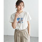 冷感ロゴフォトプリントTシャツ | ikka  | 詳細画像17 