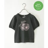 チャコール | 【親子コーデ】ボリュームパフ袖プリントT（120~160cm） | ikka 