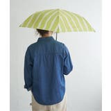 グリーン | ニュアンスストライプ ミニ 雨傘 折りたたみ傘 晴雨兼用 | Lbc with Life