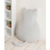 HIBERNATIONネコＬ | Lbc with Life | 詳細画像1 