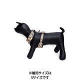 DOG harness+Belt/Ring-Gong Biscuit/Mサイズ | CRYSTAL BALL | 詳細画像3 