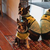 CB dogs Cafe Mat/British poupee check | CRYSTAL BALL | 詳細画像4
