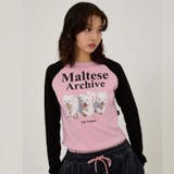 WaiKei ワイケイ マルティーズ | DAESE TOKYO | 詳細画像4 