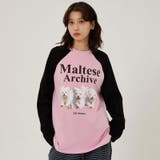 WaiKei ワイケイ マルティーズ | DAESE TOKYO | 詳細画像5 