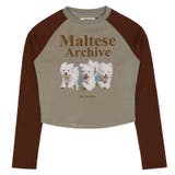 WaiKei ワイケイ マルティーズ | DAESE TOKYO | 詳細画像16 