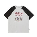 WaiKei ワイケイ マルティーズ | DAESE TOKYO | 詳細画像15