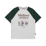 WaiKei ワイケイ マルティーズ | DAESE TOKYO | 詳細画像17