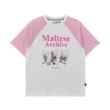 WaiKei ワイケイ マルティーズ | DAESE TOKYO | 詳細画像19