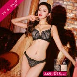 ヌーディーレース 脇高 ブラジャー | Dazzy | 詳細画像1