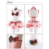 コスプレ ランジェリー チェック | Dazzy | 詳細画像8 