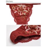 単品 ショーツノーブル グラデーションフラワーバック透け | Dazzy | 詳細画像11