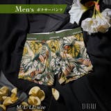 ボクサーパンツ ボタニカル モチーフ | Dazzy | 詳細画像1