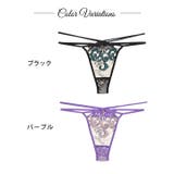 単品 ショーツ クラシカル | Dazzy | 詳細画像9 