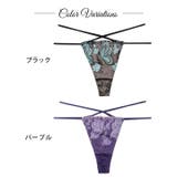 ヴィーナスバタフライストリングバック透け選べるショーツ | Dazzy | 詳細画像9