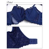ブリリアントケミカルレース脇高ブラジャー&バック透けフルバックショーツ | Dazzy | 詳細画像9 