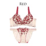 [Reinest]ブルームレーシィマテリアルブラジャー&バック透けフルバックショ… | Dazzy | 詳細画像7 