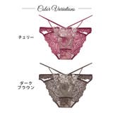 [Reinest] グロリアスリッチボタニカルバック透け選べるショーツ | Dazzy | 詳細画像4 