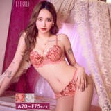 レーシィプリマフラワーブラジャー&フルバックショーツ | Dazzy | 詳細画像1