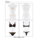 エレガンスシアーレース脇高ブラジャー&バック透けTバックショーツ | Dazzy | 詳細画像9