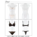 [EFサイズ] エレガンスシアーレース脇高ブラジャー&バック透けTバックショーツ | Dazzy | 詳細画像9 