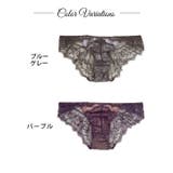 スモーキーレースコードバック透け選べるショーツ  | Dazzy | 詳細画像4 