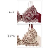 ダマスクディープストリングブラジャー&Tバックショーツ | Dazzy | 詳細画像11 