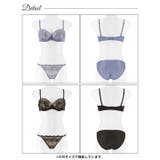 ヌーディノーブルレースブラジャー&フルバックショーツ | Dazzy | 詳細画像9 