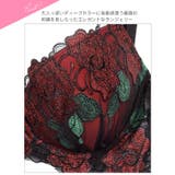 [三上悠亜着用][EFサイズ]ゴージャスディープローズ脇高ブラジャー&フルバック… | Dazzy | 詳細画像10 