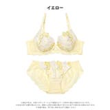 [EFサイズ]ドリーミングパステルフルールブラジャー&フルバックショーツ | Dazzy | 詳細画像8 