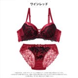 グリッターベロアレーシィブラジャー&バック透けフルバックショーツ | Dazzy | 詳細画像8 