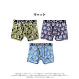 [3点セット] ストリートキャットプリント男性用ボクサーパンツ | Dazzy | 詳細画像2 
