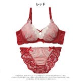エレガントエンブロイダリー脇高ブラジャー＆バック透けフルバックショーツ | Dazzy | 詳細画像7 