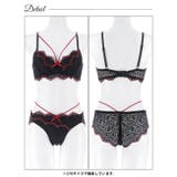 [EFサイズ]ノクターンレースコード脇高ブラジャー&バック透けフルバックショーツ | Dazzy | 詳細画像10 
