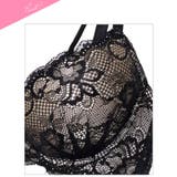 【EFサイズ】エターナルヌーディーレースブラジャー&バック透けフルバックショーツ | Dazzy | 詳細画像11 