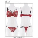 クラッシーレースコードブラジャー&Tバックショーツ | Dazzy | 詳細画像12 