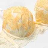 ロマンティックブライトフラワー脇高ブラジャー&フルバックショーツ | Dazzy | 詳細画像13