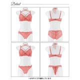 【3点セット】リボンコードレーシィブラジャー&バック透けフルバック&Tバックショ… | Dazzy | 詳細画像15 