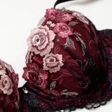 【3点セット】【GHIサイズ】クラシックローズ脇高ブラジャー&フルバック&Tバッ… | Dazzy | 詳細画像13 