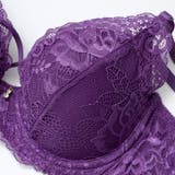 【EFサイズ】プレシャスレースクロスブラジャー&バック透けフルバックショーツ | Dazzy | 詳細画像11