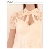 シアー ローズ 刺繍 | Dazzy | 詳細画像16 