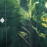 柄シャツ グリーン 緑 | Decorative  | 詳細画像8 
