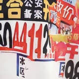 柄シャツ ナンバープレート ナンバー | Decorative  | 詳細画像8 