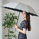 【雨晴兼用】ストライプ柄 パイピング ウエーブ | レースレディース  | 詳細画像1 