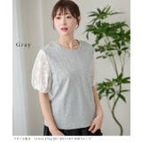 DAYRA シアー レース | レースレディース | 詳細画像11