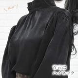 ハイネック シアーブラウス ボリューム袖 | レースレディース  | 詳細画像2 